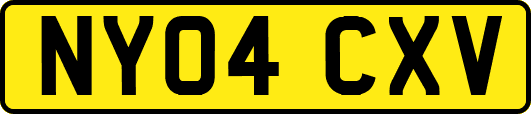 NY04CXV