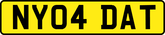 NY04DAT