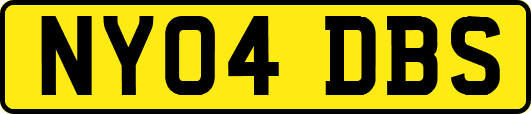 NY04DBS