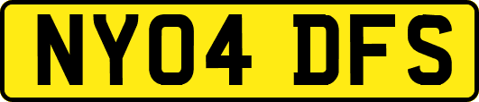 NY04DFS