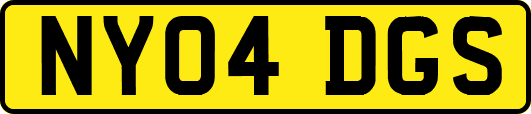 NY04DGS