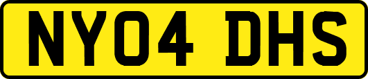 NY04DHS