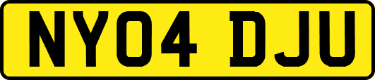 NY04DJU