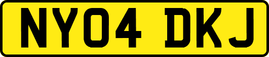 NY04DKJ