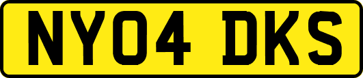 NY04DKS