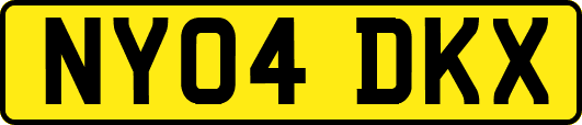 NY04DKX