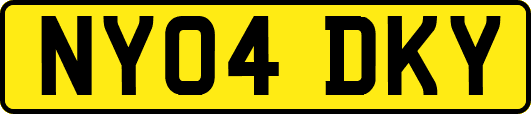 NY04DKY