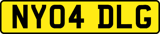 NY04DLG