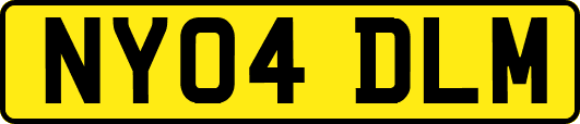 NY04DLM
