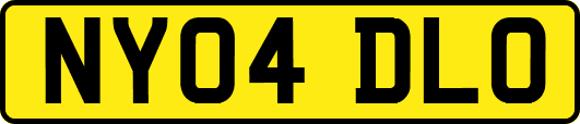 NY04DLO