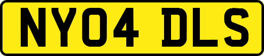 NY04DLS