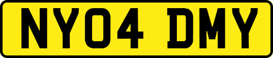 NY04DMY
