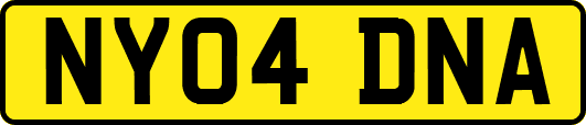 NY04DNA