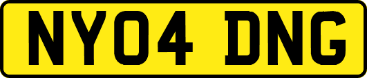 NY04DNG