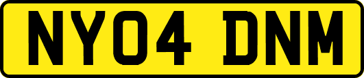 NY04DNM