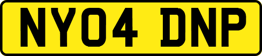 NY04DNP