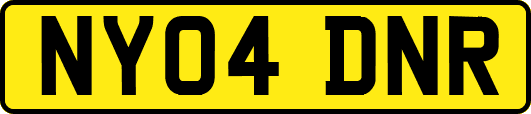 NY04DNR