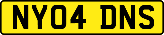 NY04DNS
