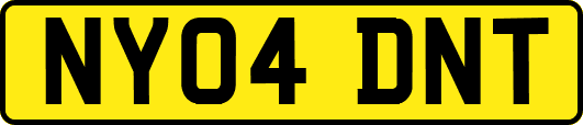 NY04DNT