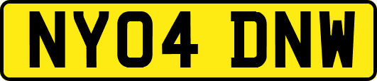 NY04DNW