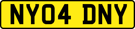 NY04DNY