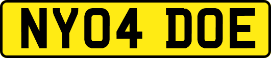 NY04DOE