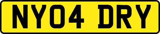 NY04DRY