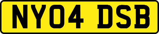 NY04DSB