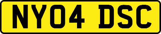 NY04DSC