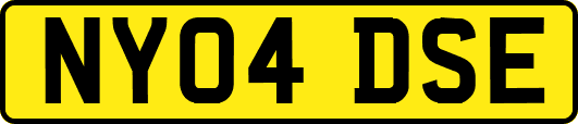 NY04DSE