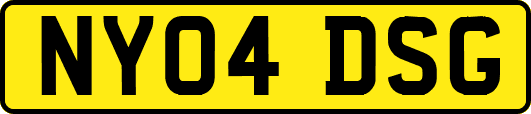 NY04DSG