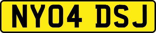 NY04DSJ