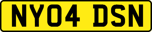 NY04DSN