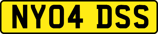 NY04DSS