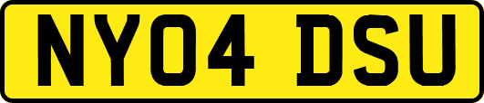 NY04DSU