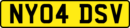 NY04DSV