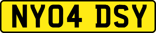 NY04DSY