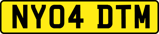 NY04DTM