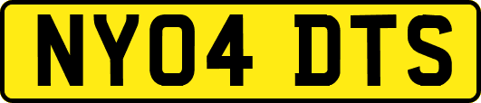 NY04DTS