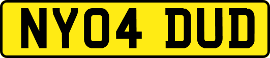NY04DUD