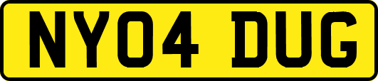 NY04DUG