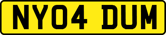 NY04DUM