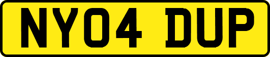NY04DUP