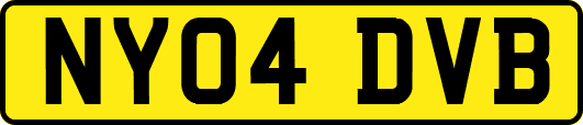 NY04DVB