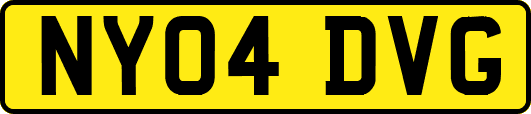 NY04DVG