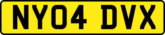 NY04DVX