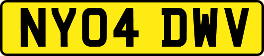 NY04DWV