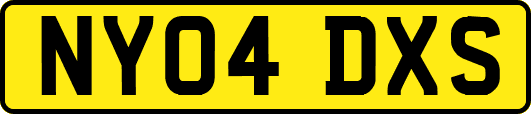 NY04DXS