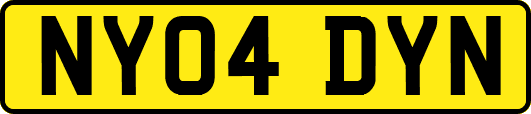 NY04DYN