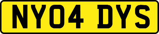 NY04DYS
